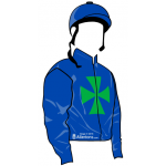 AZUL CON TREBOL VERDE, MANGAS AZULES , CASCO AZUL