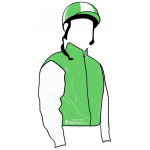 VERDE FOSFORITO, MANGAS BLANCAS,CASCO A CUARTOS VERDES Y BLANCOS