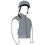 GRIS MANGAS BLANCAS CASCO GRIS