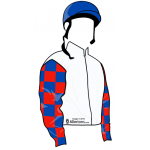 BLANCO CON MANGAS ROJAS CUADROS AZULES, CASCO AZUL