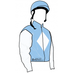 CUERPO AZUL CIELO , CON ROMBO BLANCO, CASCO AZUL CIELO